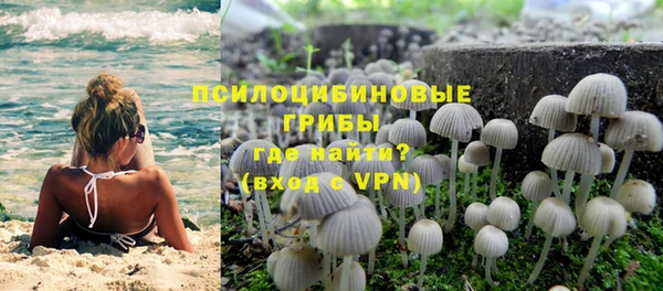 apvp Ступино